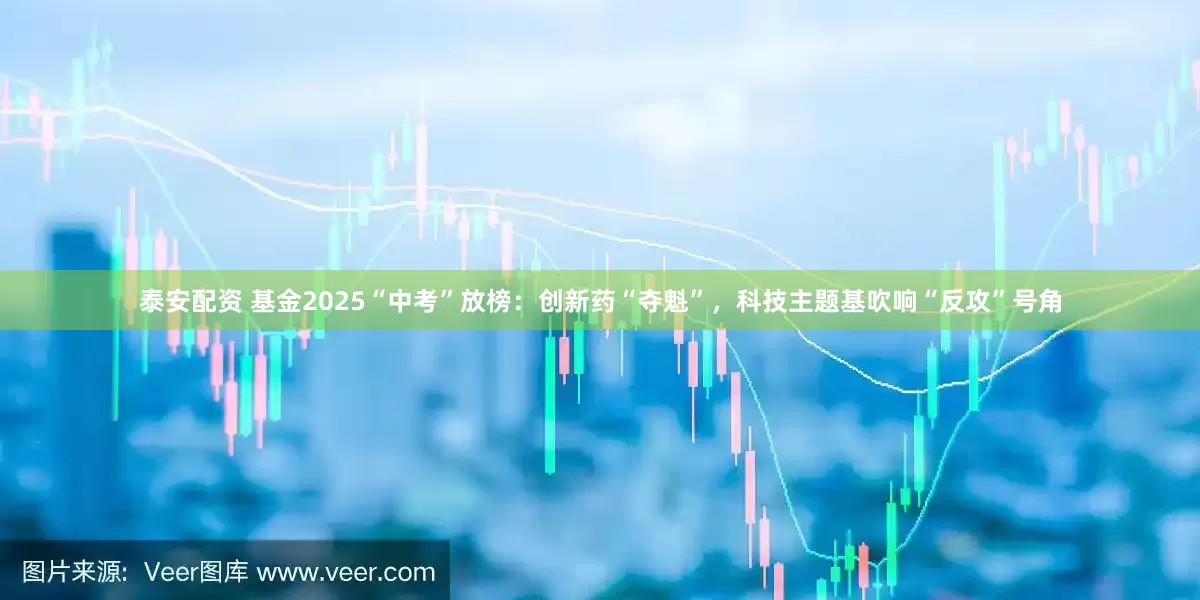 泰安配资 基金2025“中考”放榜：创新药“夺魁”，科技主题基吹响“反攻”号角