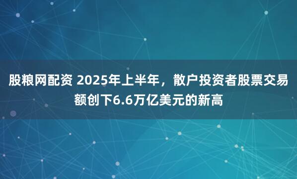 股粮网配资 2025年上半年，散户投资者股票交易额创下6.6万亿美元的新高