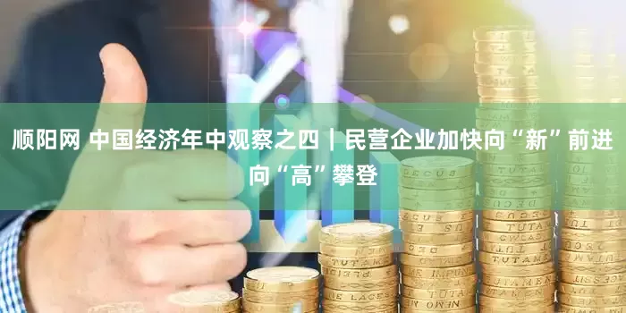 顺阳网 中国经济年中观察之四｜民营企业加快向“新”前进向“高”攀登