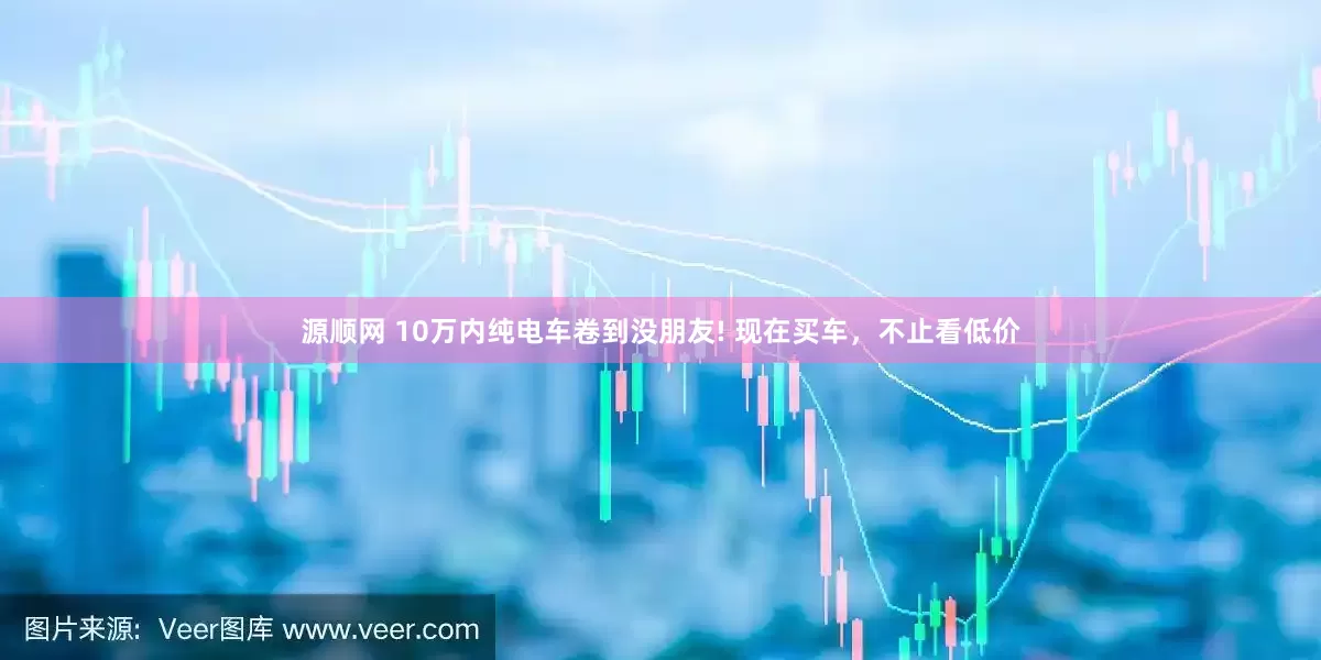 源顺网 10万内纯电车卷到没朋友! 现在买车，不止看低价