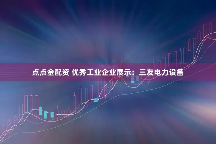 点点金配资 优秀工业企业展示：三友电力设备